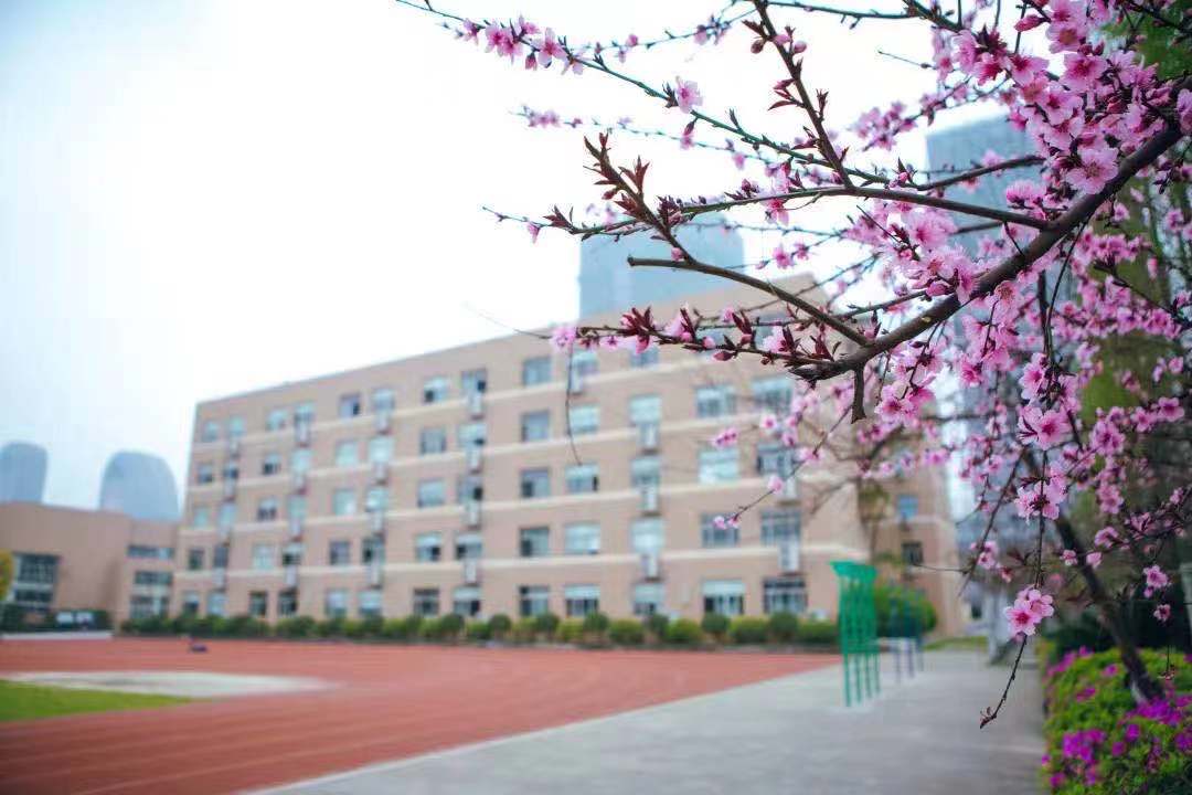 校园.jpg